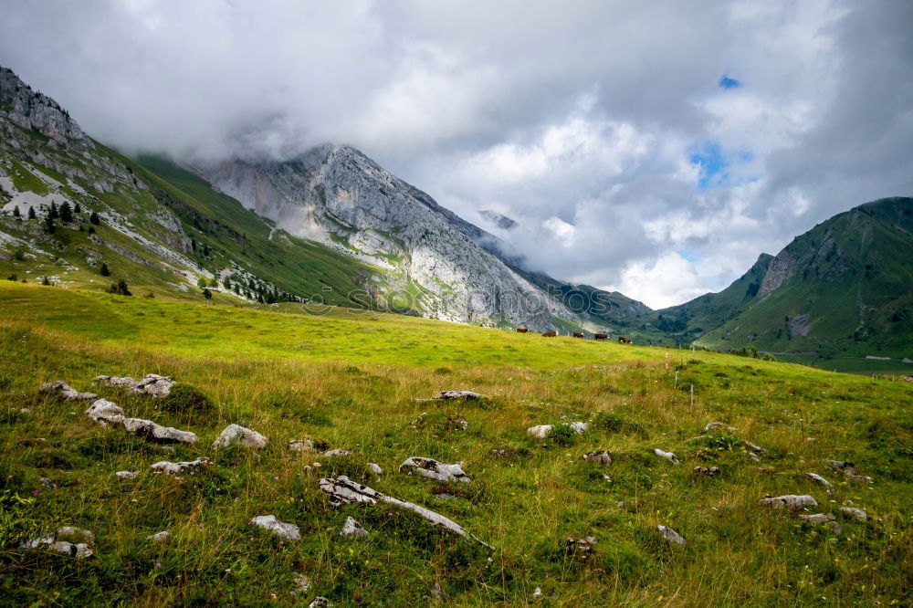 Hut with panorama in France