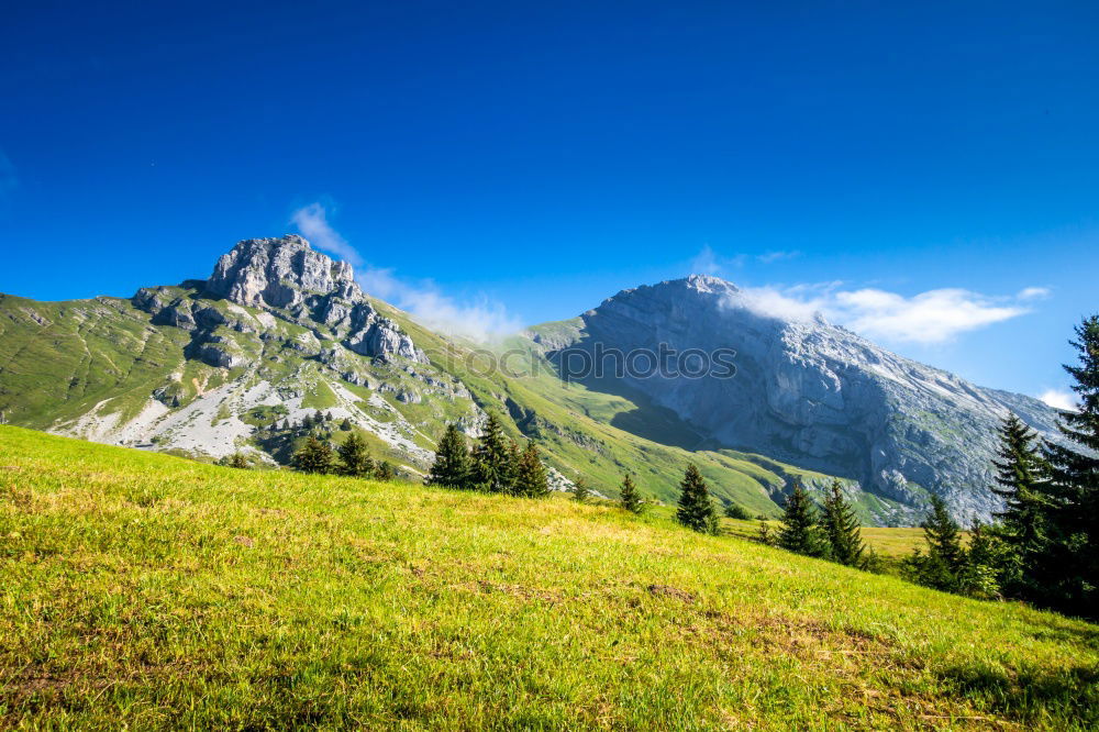 Similar – Image, Stock Photo At Heidi on the mountain pasture