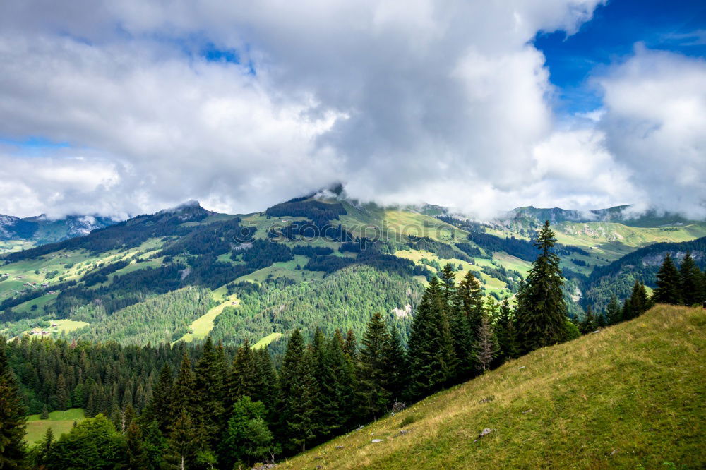 Similar – Green sunny valley in mountains and hills