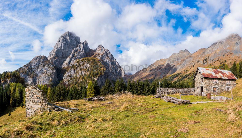 Similar – Image, Stock Photo Autumn colours in French