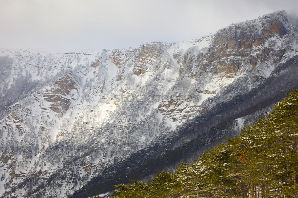 Similar – Image, Stock Photo Trekking Day Morning