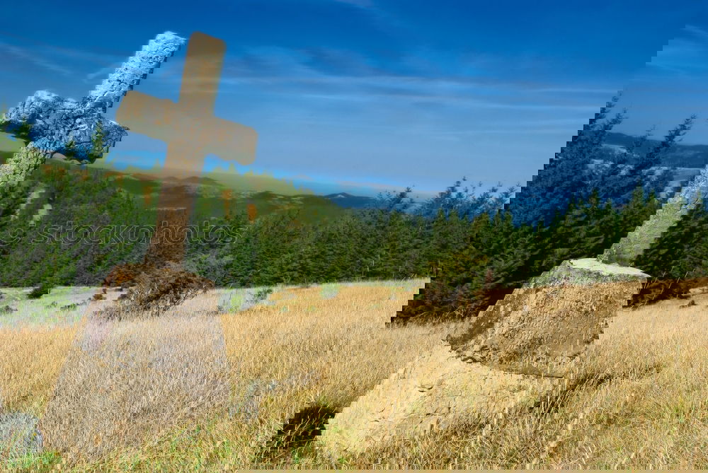Similar – Image, Stock Photo hiking trail signposting