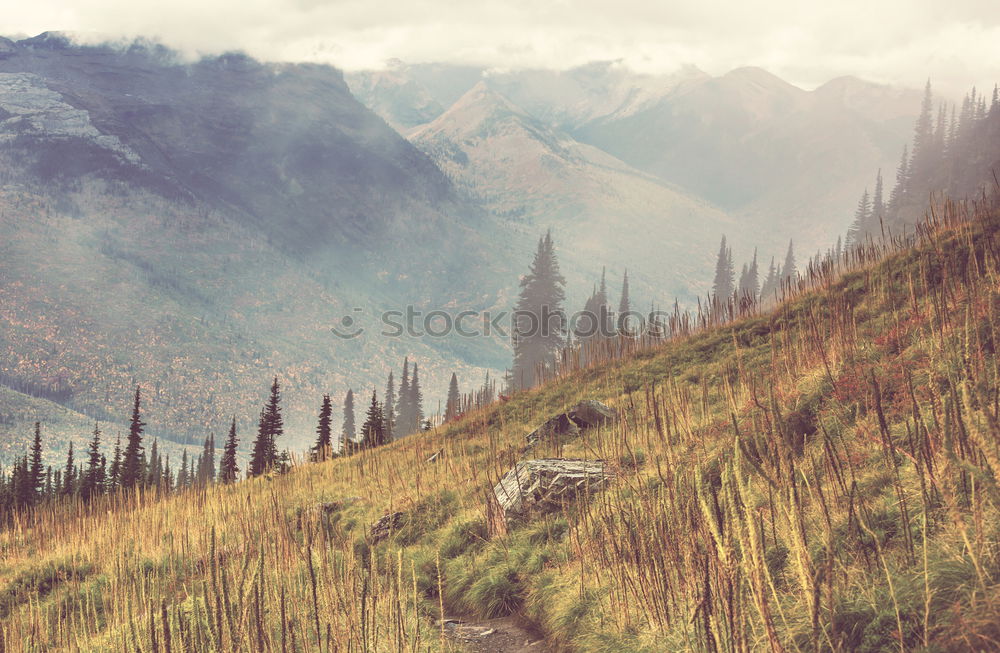 Similar – Image, Stock Photo Hikers on Alpine crossing | Timmelsjoch | E5