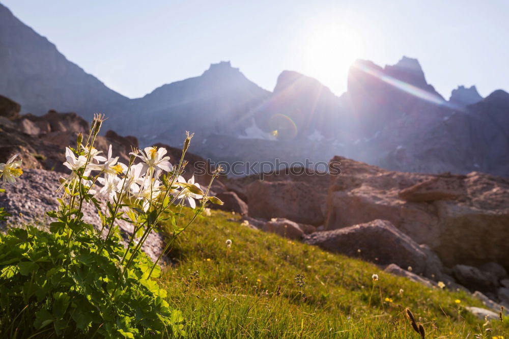 Image, Stock Photo beautiful sunset in Allgaeu Alps in summer, Germany