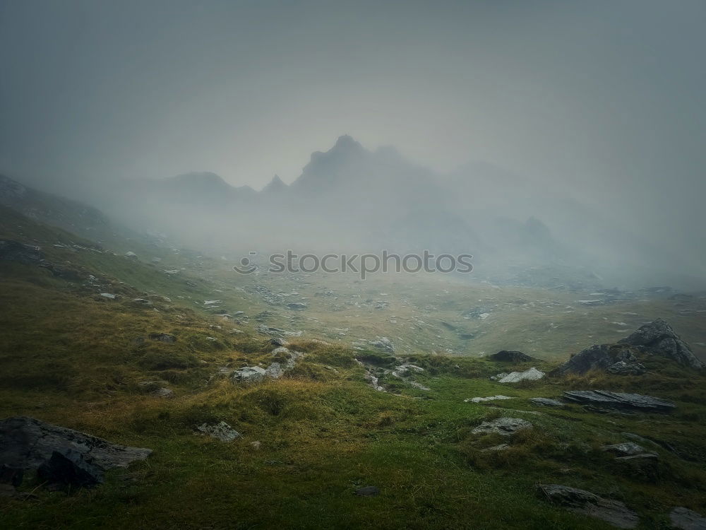 Similar – Foto Bild Am Fjord Umwelt Natur