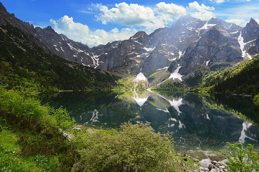 Similar – Image, Stock Photo Watermirror Environment