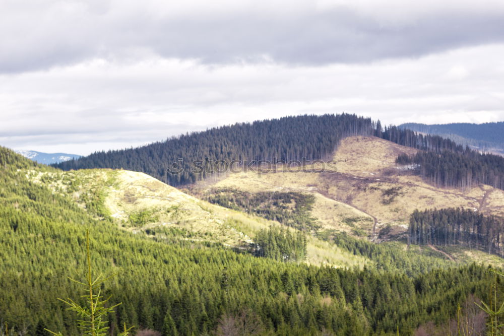 Similar – Image, Stock Photo After Forest Fire Mountain