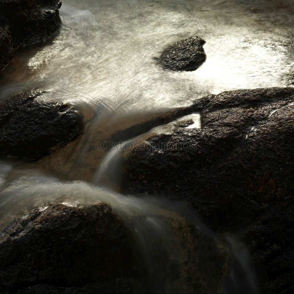 Similar – Image, Stock Photo gold leaf Nature Water