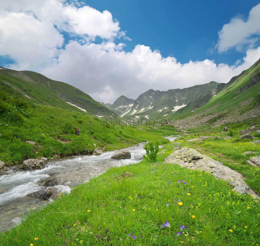 Similar – Image, Stock Photo teatime Vacation & Travel