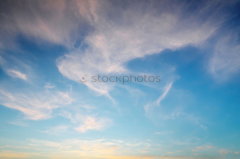 Similar – Image, Stock Photo silent Environment Nature