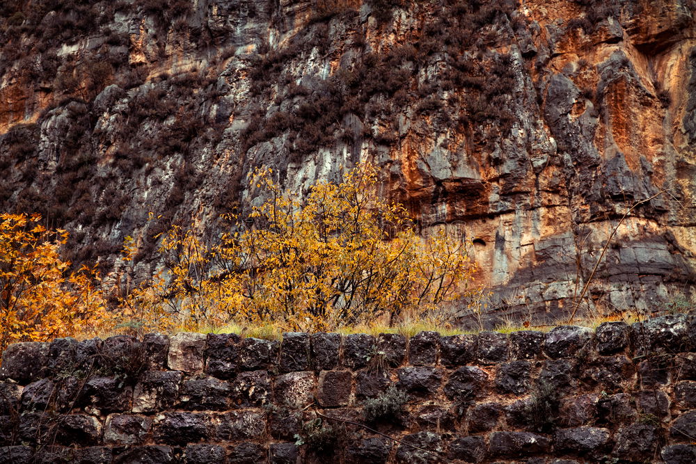 Similar – Image, Stock Photo Braiding on rocks