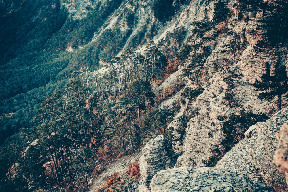 Similar – Image, Stock Photo climbing idyll