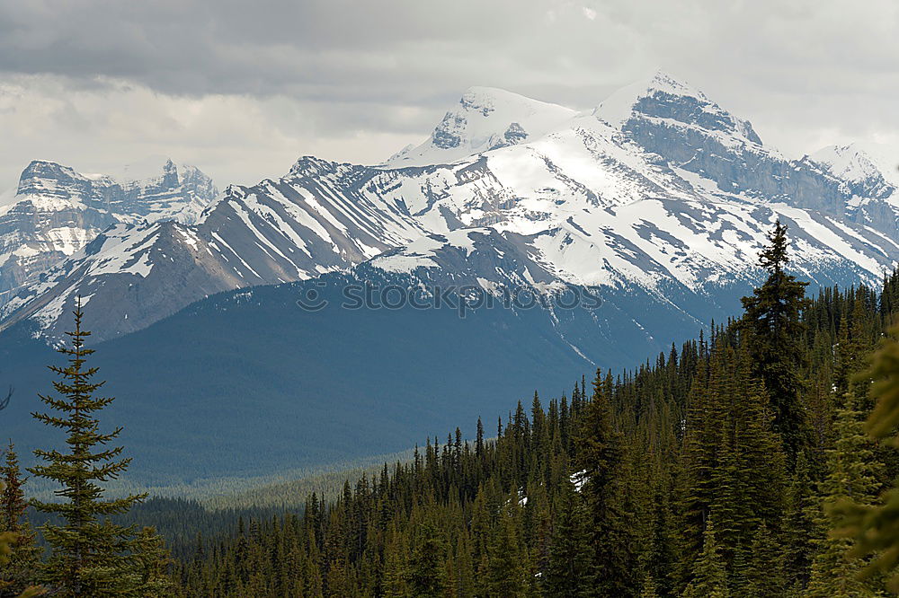 Similar – Icefields Parkway