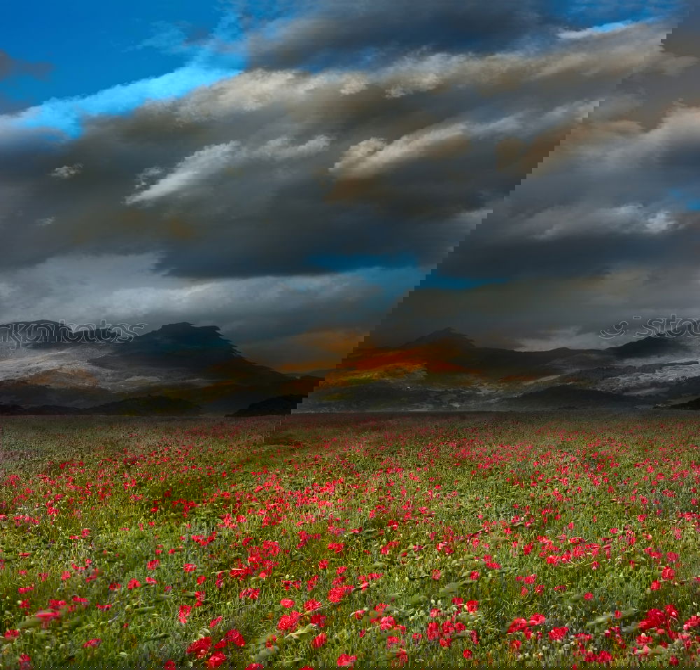 Similar – Foto Bild Osterspaziergang Frühling