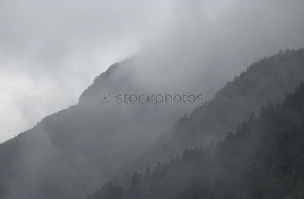 Similar – Wafts of mist in the Black Forest