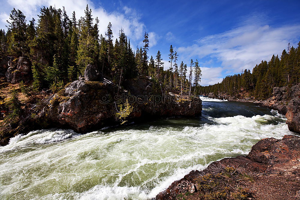 Similar – Image, Stock Photo Yukon Forest Rock