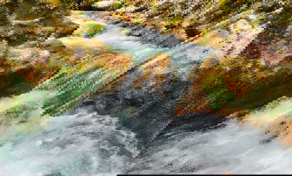 Image, Stock Photo Bypass moisture Trip