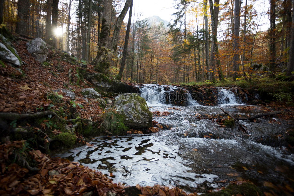 Similar – Herbst in den Bergen Natur