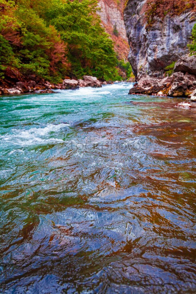 Similar – Image, Stock Photo Aare Gorge Environment