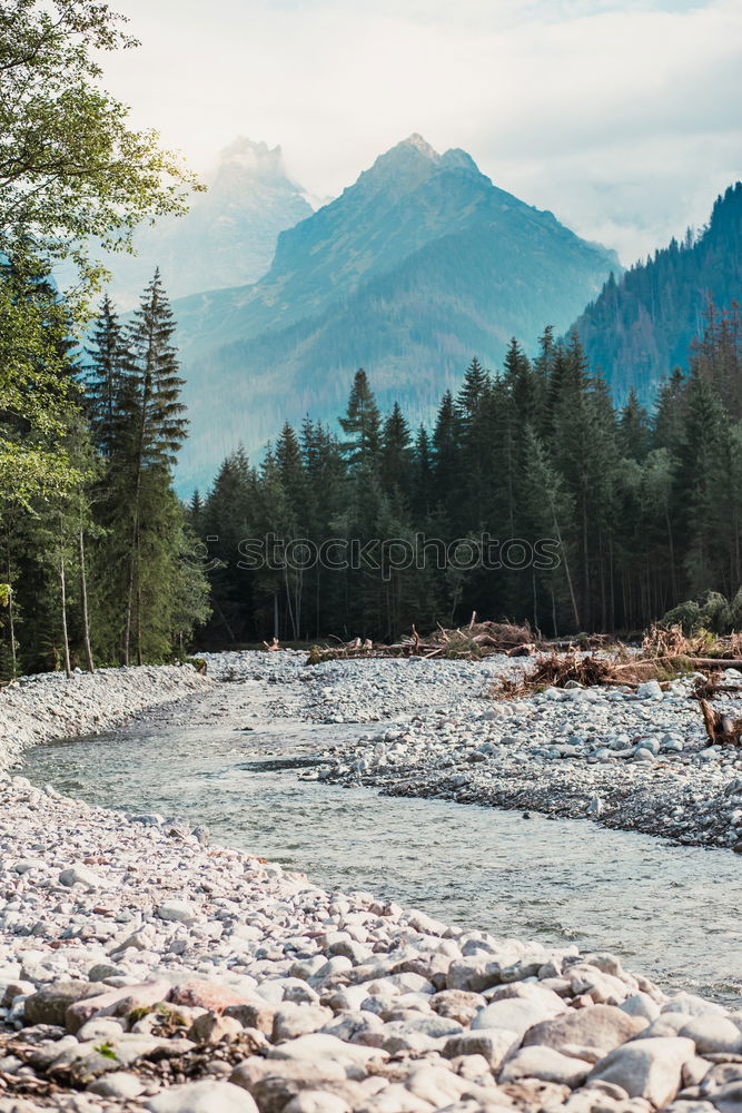 Similar – Image, Stock Photo Lütsche Dam / Thuringia