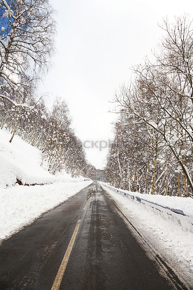 Similar – Image, Stock Photo Lower Saxony Siberia