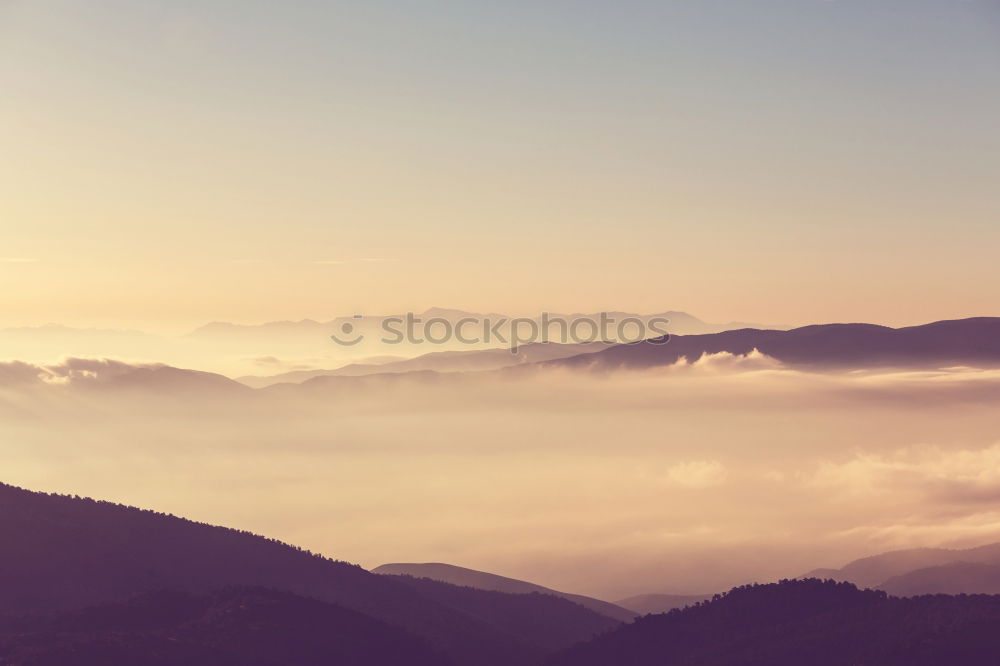 Similar – Image, Stock Photo Hills in Tuscany in the evening light