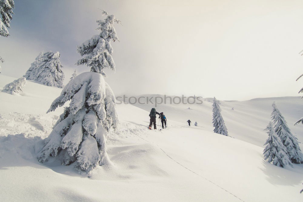 Similar – ski#2 Powder snow Jump