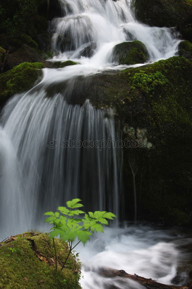 Similar – Image, Stock Photo Soft water 2 Beautiful