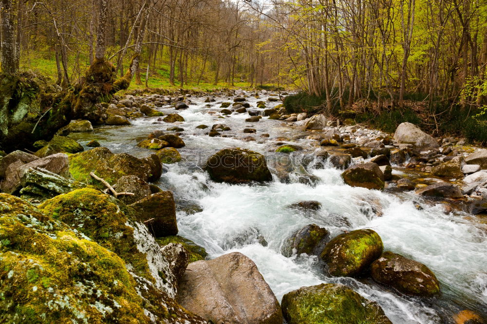 Similar – Image, Stock Photo Pyrenees Hiking Trail 12