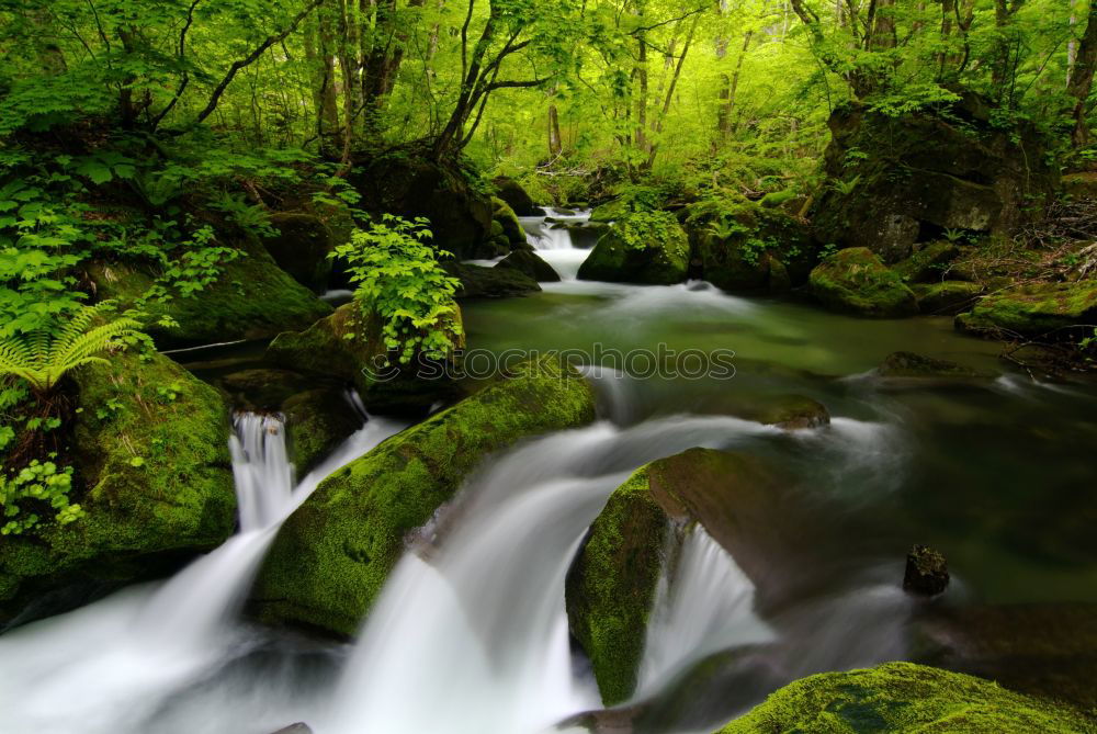 Similar – Water Brook Green River