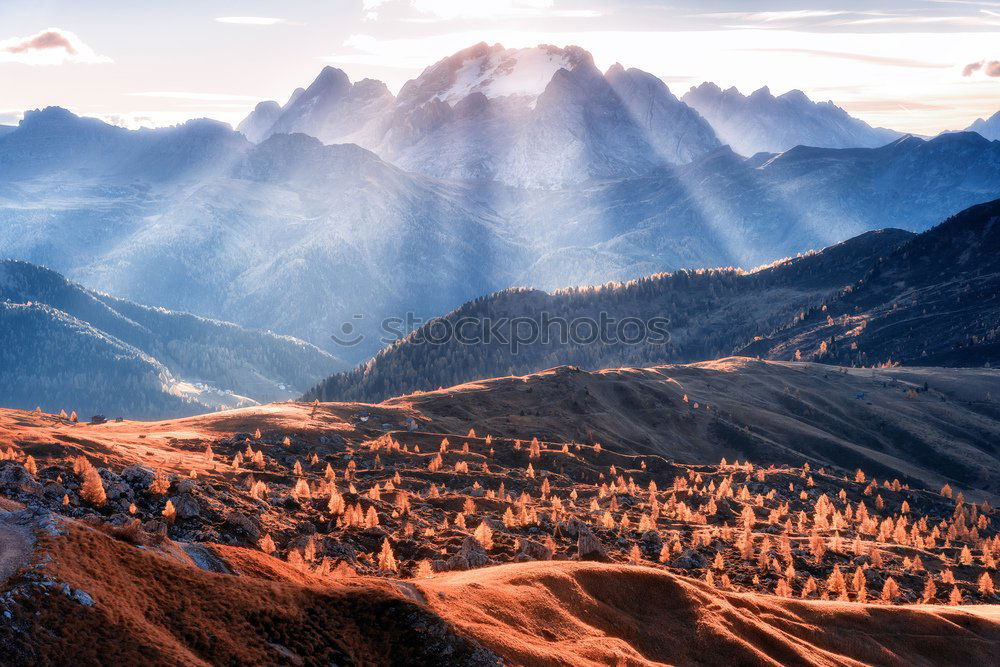 Similar – Image, Stock Photo Eagle’s Nest
