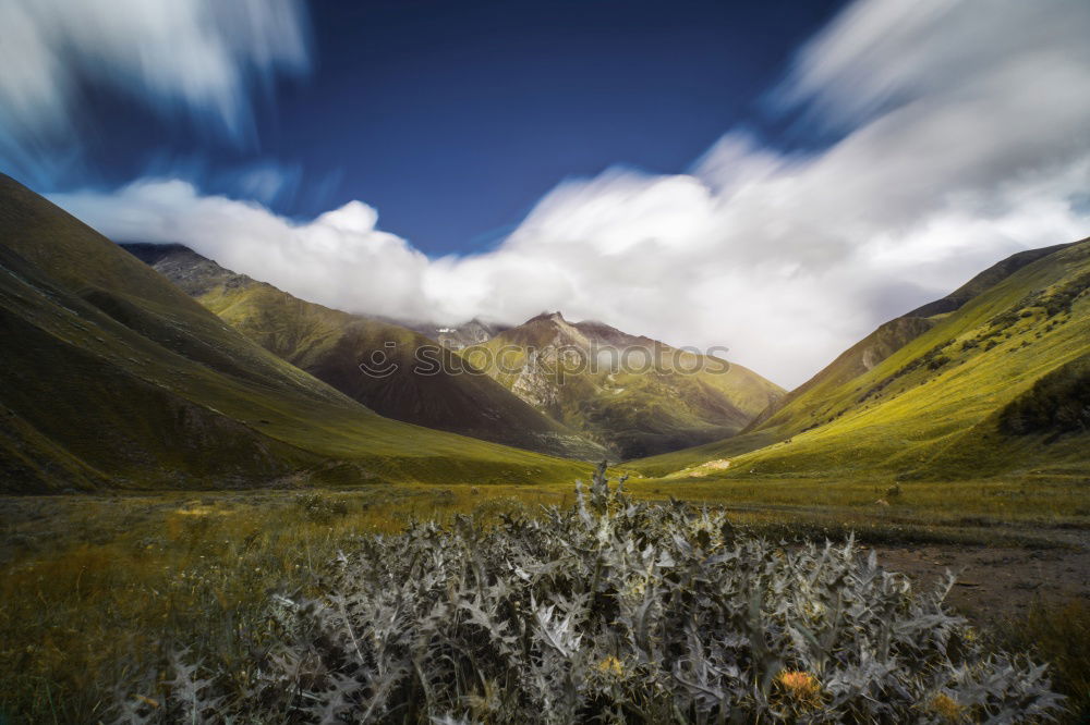 Similar – Golden mountains in Lagodekhi national park, Georgia