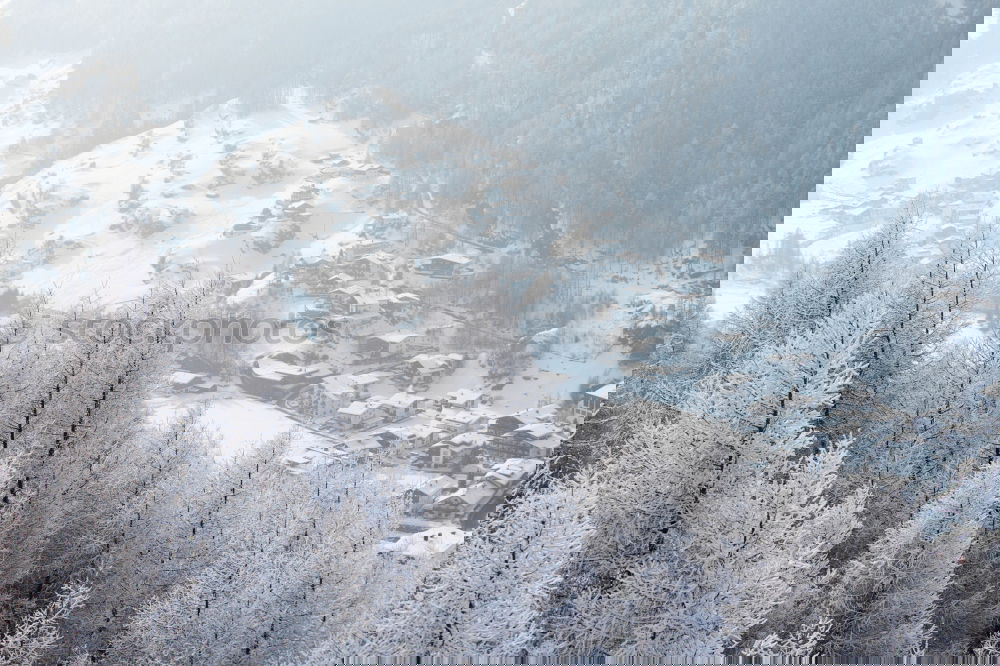 Similar – Image, Stock Photo Black Forest, powdered