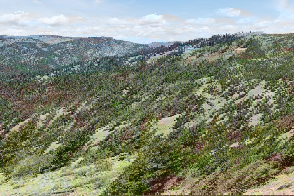 Similar – Image, Stock Photo After Forest Fire Mountain