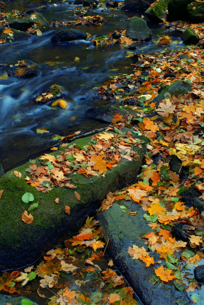 Similar – Ins Wasser gefallen Natur