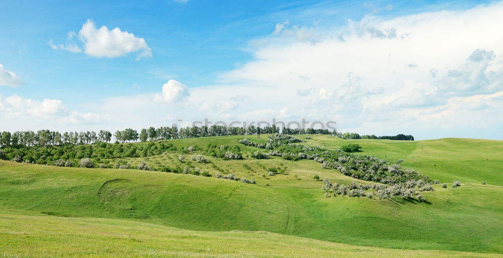 Similar – Image, Stock Photo Tuscany Harmonious Calm