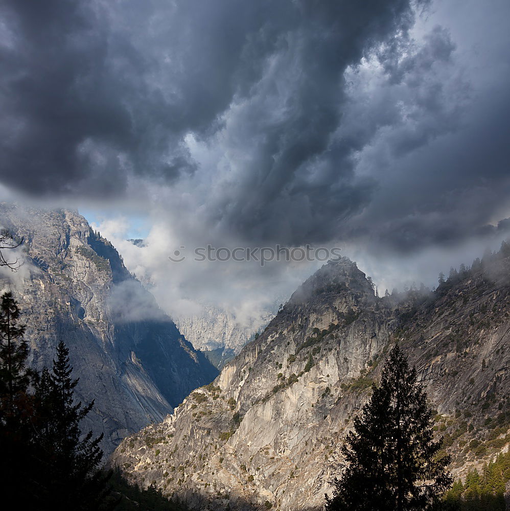 Similar – Image, Stock Photo Green stone grey