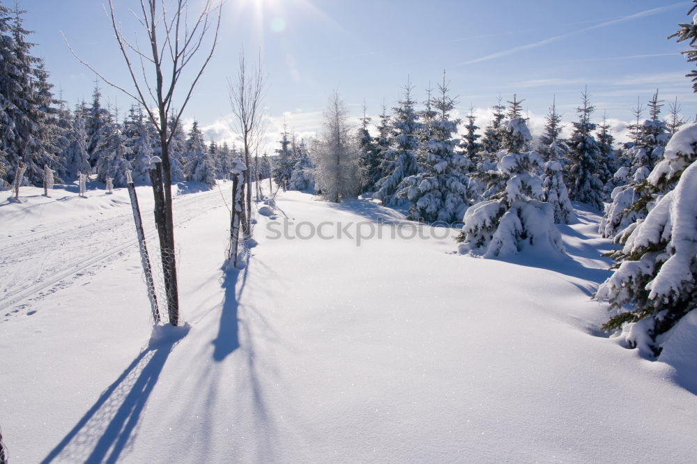 Similar – Foto Bild Winterstraße gepflügt