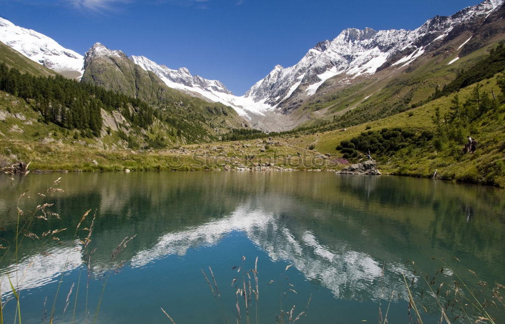 Similar – Image, Stock Photo Autumn at Duisitzkarsee lake