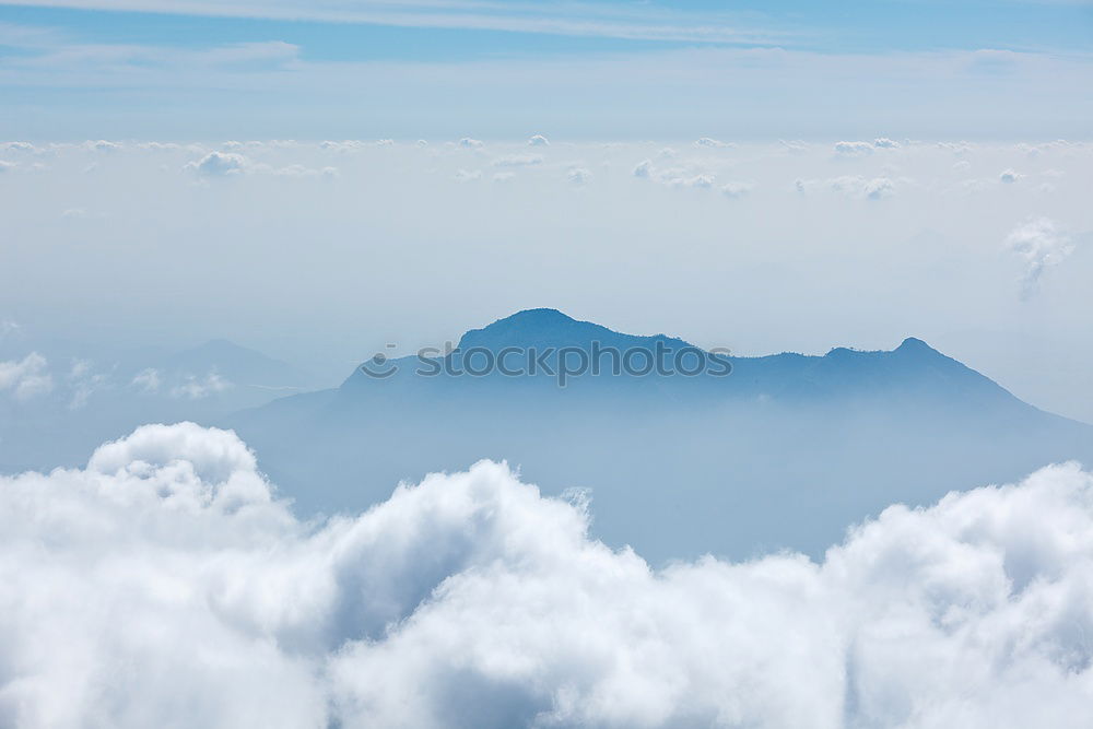 Similar – Nature Sky Cloudless sky