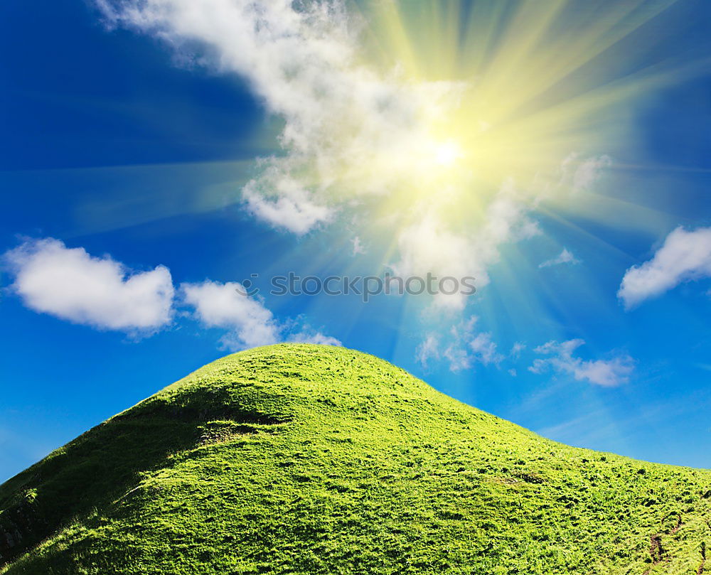 Similar – Image, Stock Photo greenscreen-ing Sun Nature