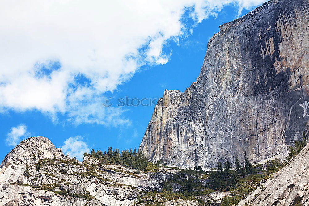 Similar – Image, Stock Photo Better half