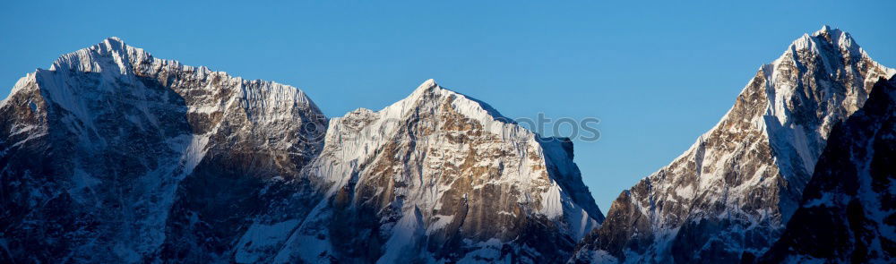 Similar – Image, Stock Photo Black Mamba Cabins Africa