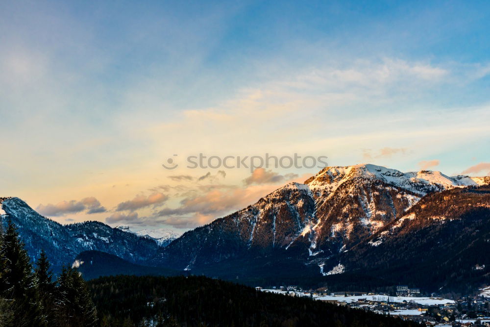 Similar – Christmas tree line Nature