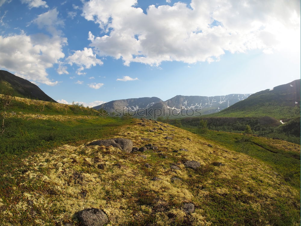 Similar – Golden mountains in Lagodekhi national park, Georgia