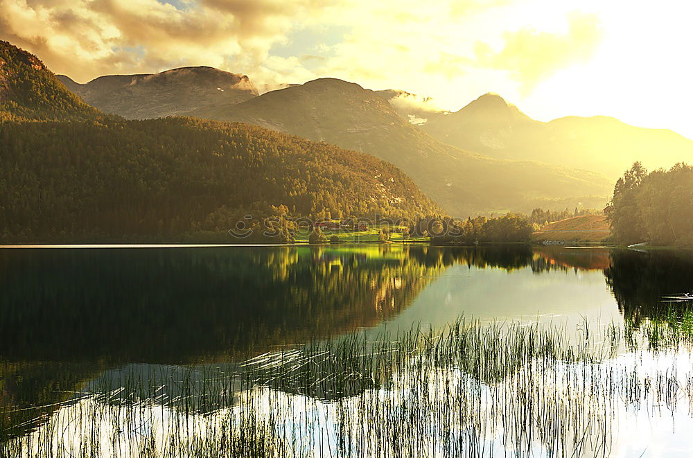 Similar – Image, Stock Photo Danube