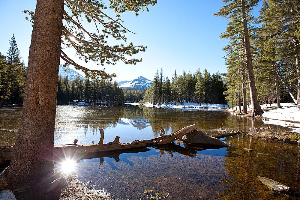 Foto Bild Yosemite II See Baum grün