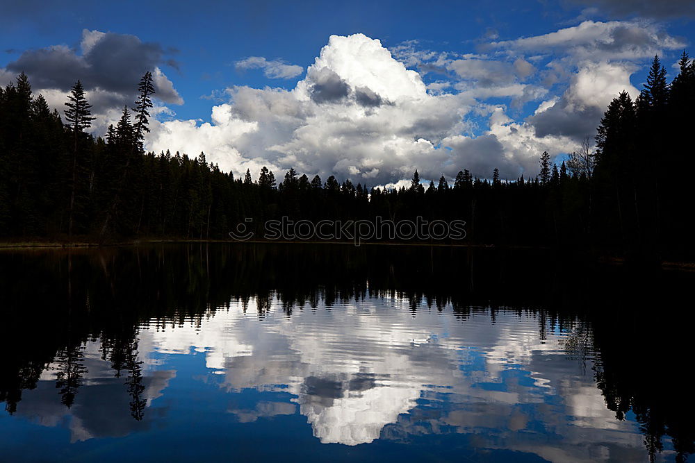 Similar – Foto Bild Spiegelsee See Wald