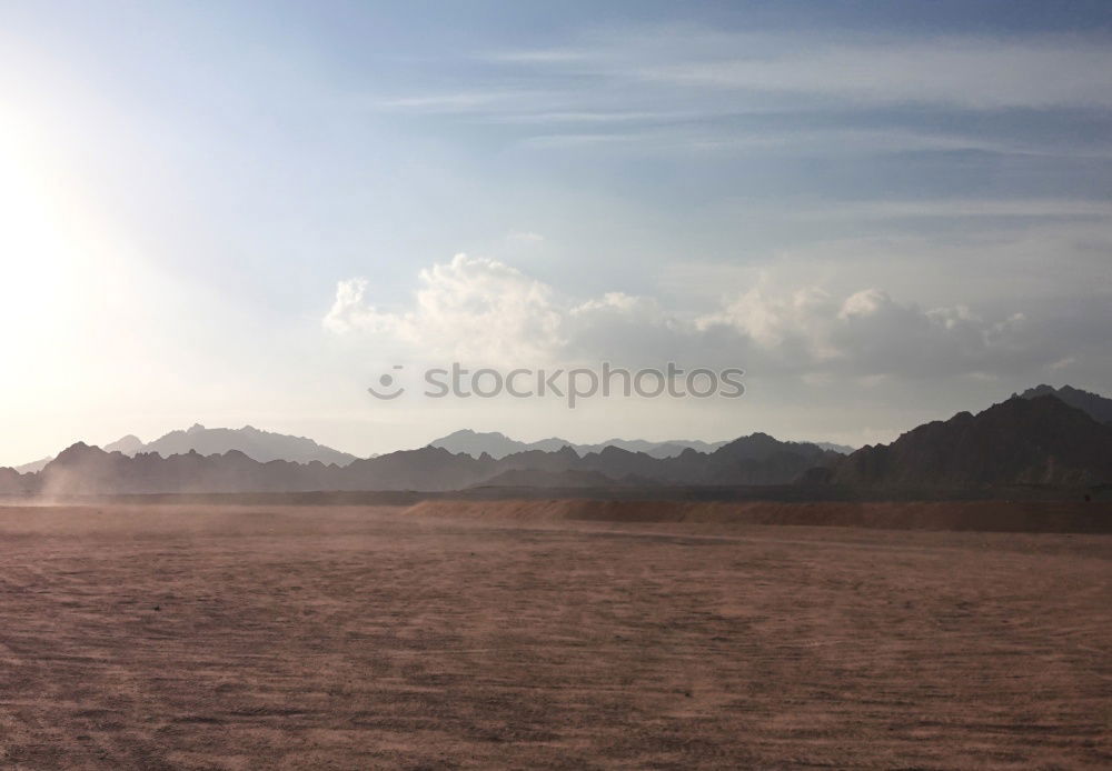 Similar – Dead Vlei Desert Tree