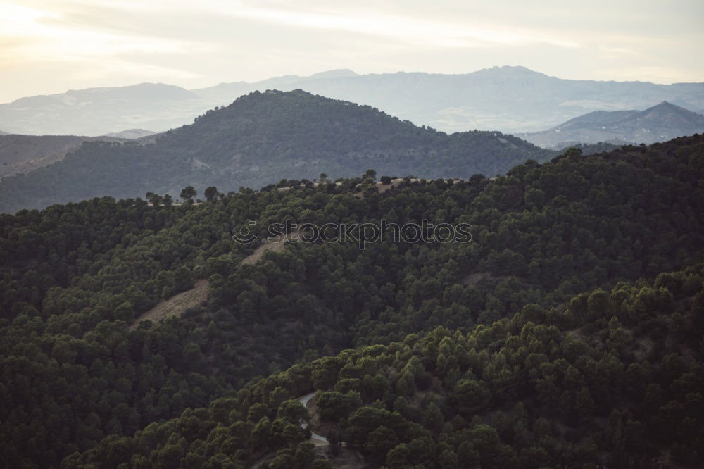 Similar – Image, Stock Photo Small house in forest